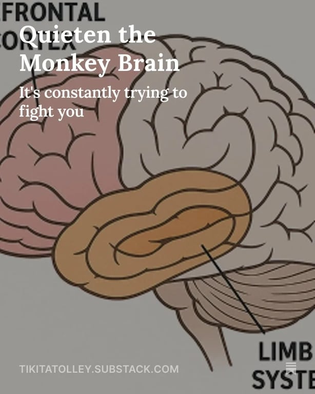 Quieten the Monkey Brain
