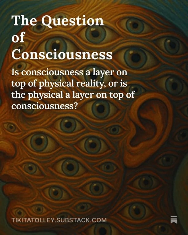 Started my own Substack - Field Notes project screenshot showing the interface