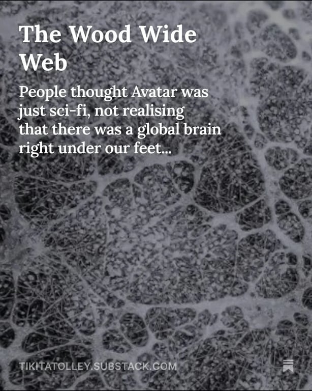 Started my own Substack - Field Notes project screenshot showing the interface