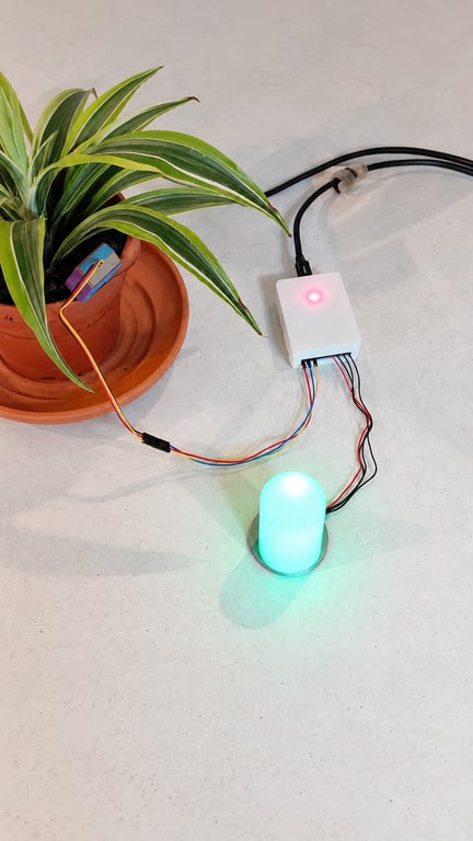 Finished Smart Plant Moisture Monitor with the plant sensor, controller enclosure and illuminated RGB status lamp