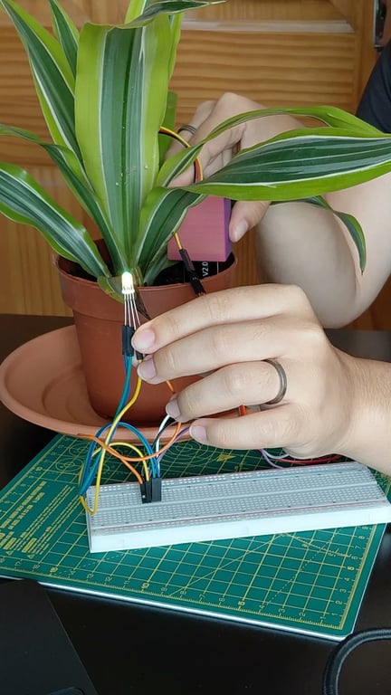 Smart plant monitor working beside a potted plant with its sensor in the soil and RGB light glowing green