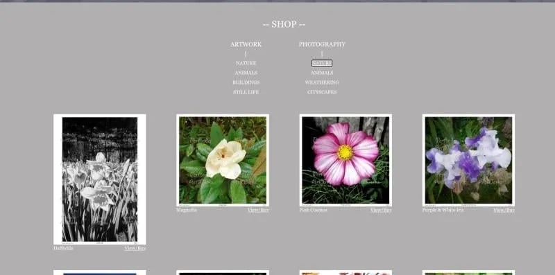PerAnder Artworks - Archives project screenshot showing the interface