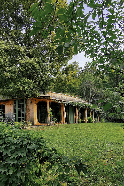 Category Image