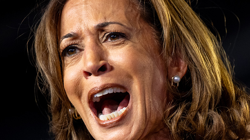 Kamala Harris Caught Plagiarizing Parts of Her Book