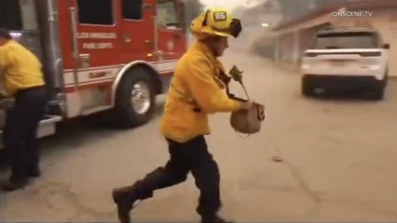 California Firefighters Forced to Use WATER BAGS as Hydrants Run Dry