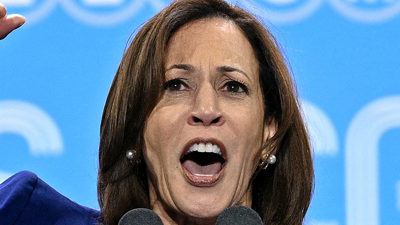 If Kamala Wins, Prepare for Climate Change Authoritarianism and The Destruction of America’s Economy If Kamala Wins, Prepare for Climate Change Authoritarianism and The Destruction of America’s Economy