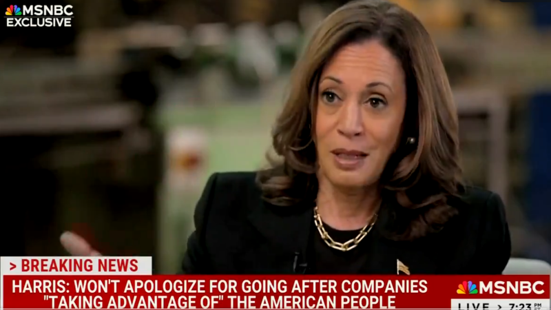 MSNBC’s Stephanie Ruhle Defends Poor Kamala Harris Performance In Softball Interview