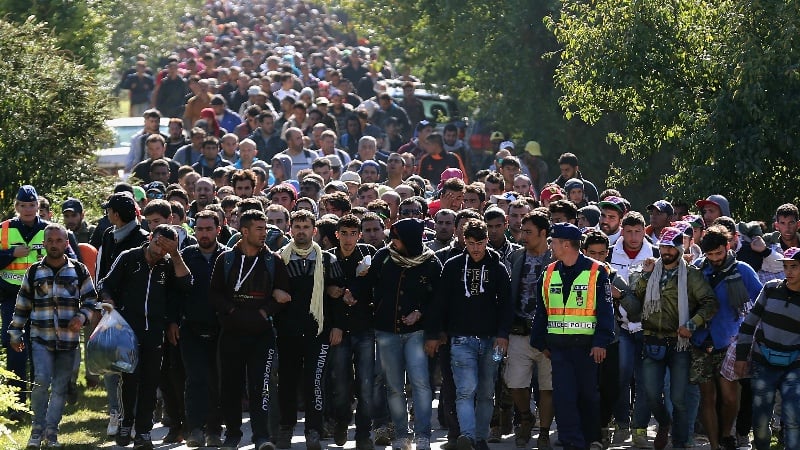 Replacement Migration: EU Parliament Committee Approves Importing 7 Million Aliens by 2030