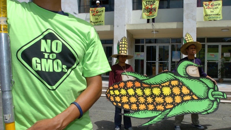 Could GMO Crops be the Main Reason for the Explosion of Leaky Gut Syndrome?