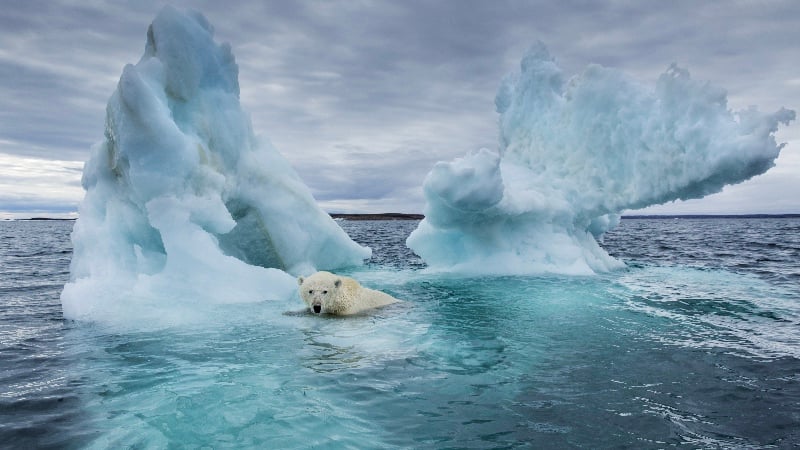 ‘Doesn’t Fit MSM Narrative’: Latest Arctic Ice Data Shows 26% Larger Than 2012 