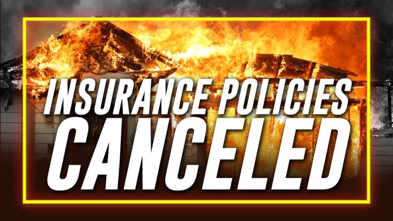 BREAKING: Iconic Actor James Woods Confirms Homeowner Insurance Policies Were Canceled En Masse Months Before The Massive Palisades, CA Neighborhood Was Destroyed By The Historic Firestorm