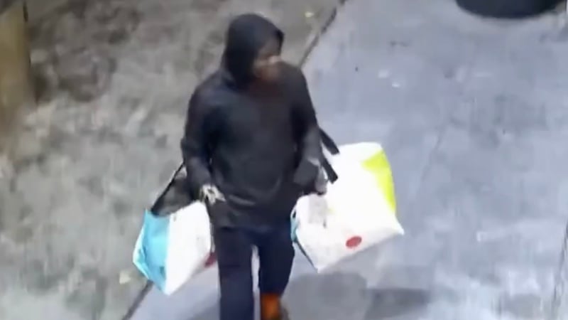 Cameroonian Alien Linked to Brutal Concrete Slab Attacks in France, Switzerland, And Netherlands