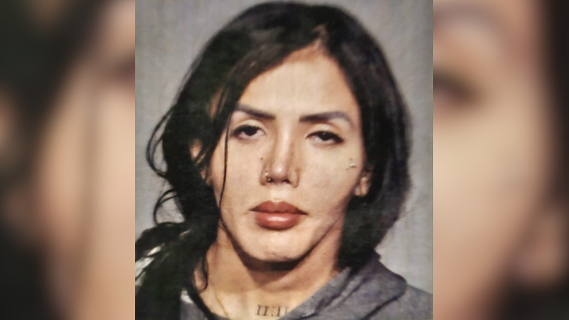 Transgender Illegal Arrested for Raping Teen in NYC Bathroom