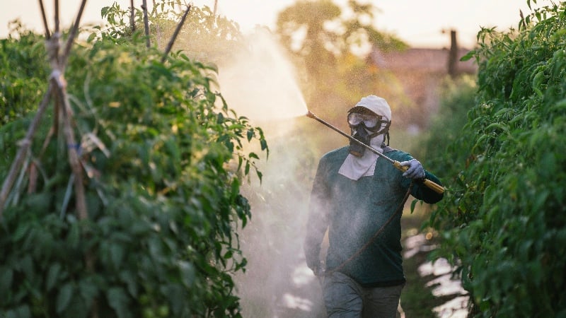 Pesticide Industry Seeks Legal Immunity From Lawsuits Just Like The Vaccine Industry