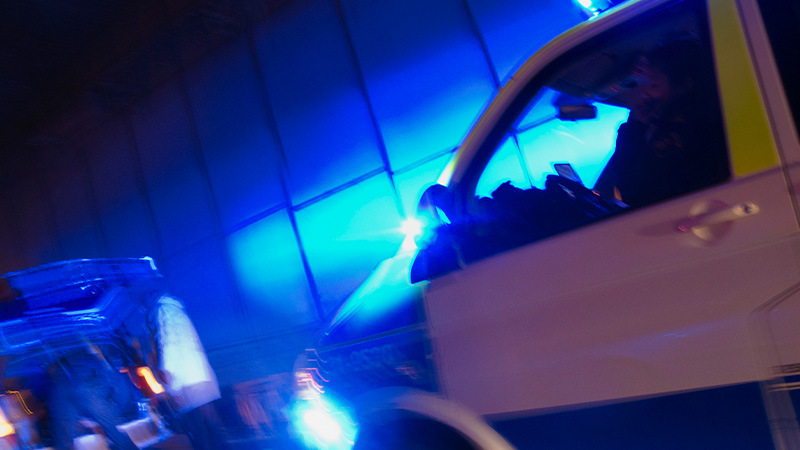 Swedish Criminal Gangs Expanding Operations to Iceland, Icelandic Justice Minister Claims