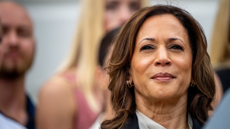New Poll: Harris Still the Favourite for 2028