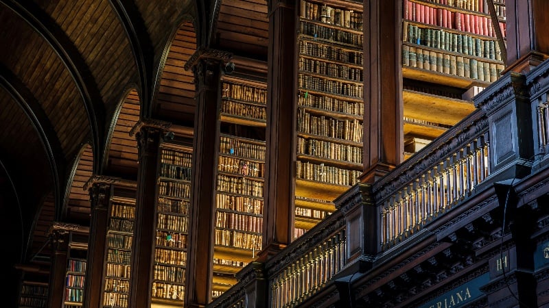 Read or Disappear: Europe’s Crisis of the Written Word