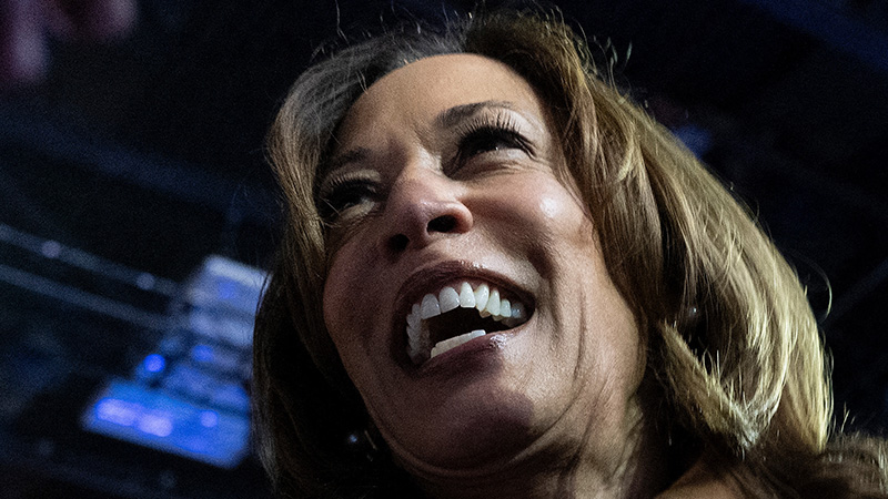 Kamala Harris & Gretchen Whitmer Get Cringy at the Bar