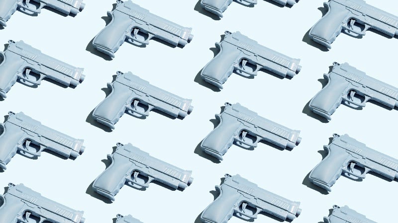 Polish Firearm Licenses Reach Historic High