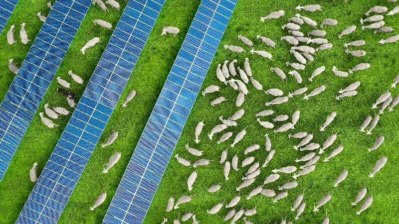 Spanish Leader Praises Farmers—While Bulldozing Their Fields