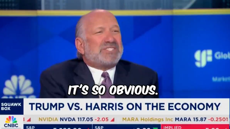 Billionaire CEO Shocks CNBC Hosts By Explaining How Trump Tariffs Are ‘An Amazing Tool’ To ‘Protect American Workers’