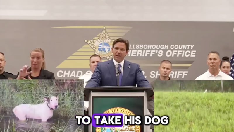 Watch: Gov. DeSantis Announces Florida Man ARRESTED After Abandoning Dog Chained to Fence During Hurricane Milton