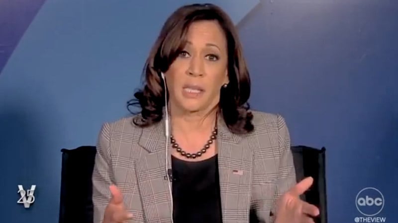 ‘They Need Support’: Kamala Describes Biden Regime Granting ‘Temporary Protected Status to Over 100,000 Haitian Migrants’