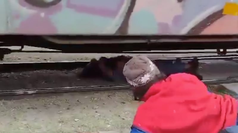 Shock Video: Migrant Hit by Train in Mexico