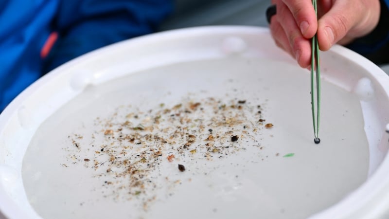 Kennedy Promises To Address Microplastic Pollution