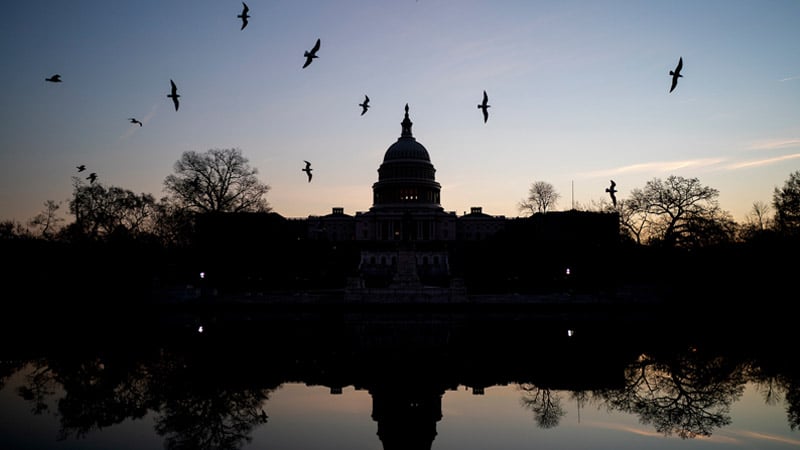 Deep State in Total Nuclear Meltdown Over Trump’s ‘Disruptor’ Cabinet Picks, Scramble to Form ‘Shadow Gov’t’ While Other Officials Threaten to Resign — Sunday Night Live