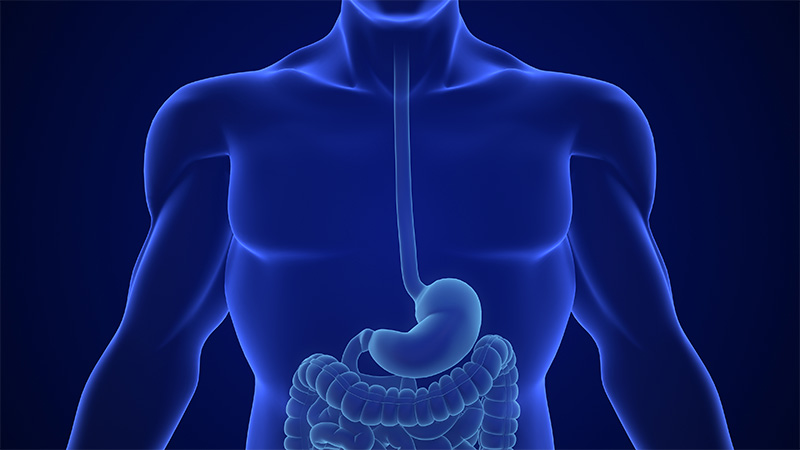 Gut-Biome Linked to Stress Resilience — Study