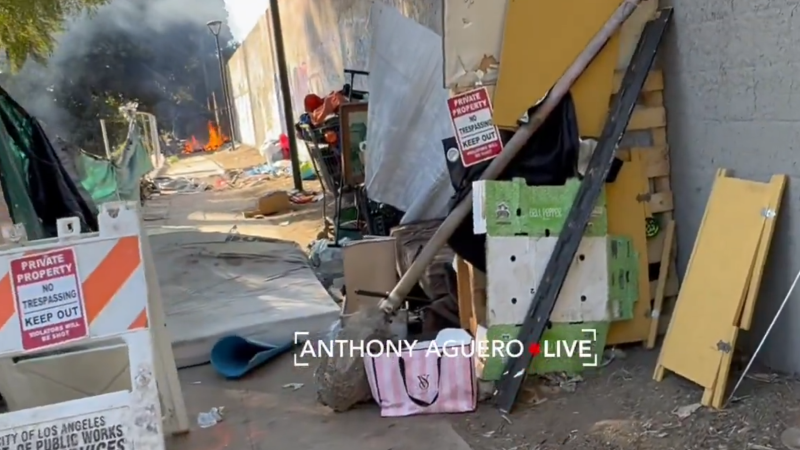 Amazing! Citizen Journalist Singlehandedly Puts Out LA Fire Near Homeless Camp