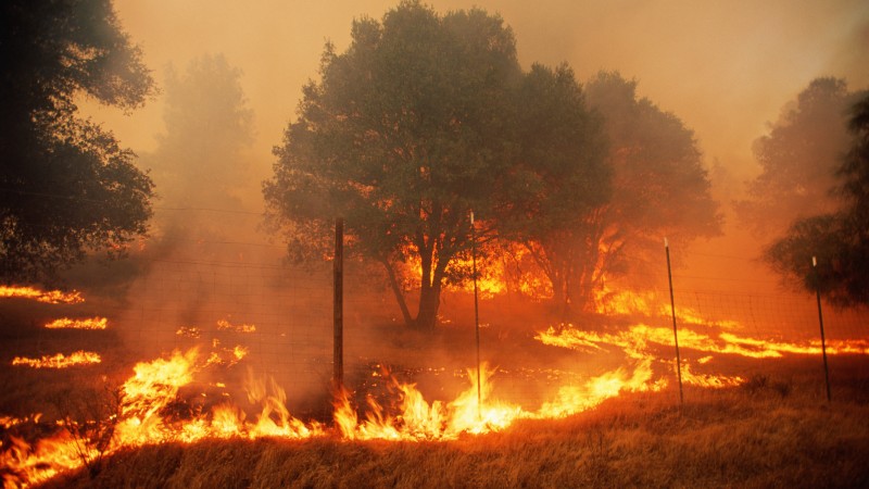 Viral Video Exposes Democrat Failures Leading To Historic California Inferno – Trump Warned Of Impending Catastrophe Months Ago!