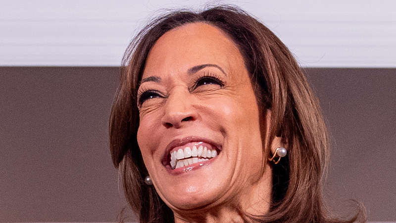 The Establishment’s “Principles” Are Fake
