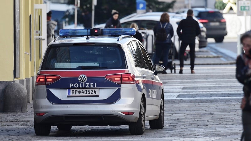 Afghan Nearly Beats Austrian Teen to Death