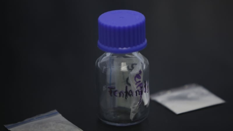 Mexico Makes Record Fentanyl Haul