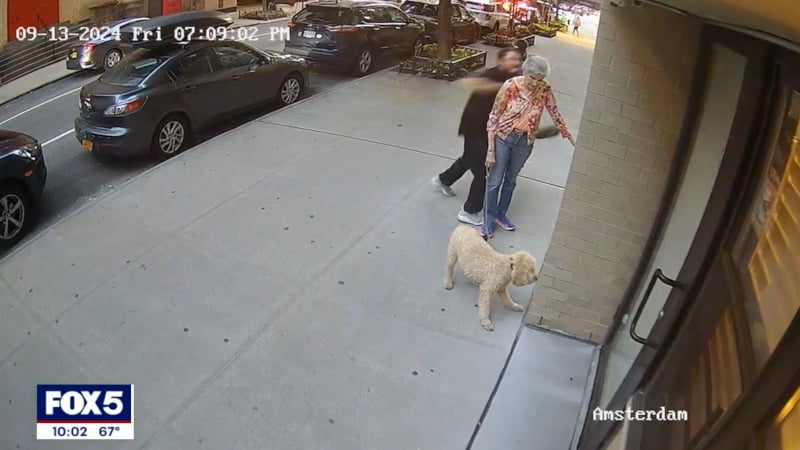 Shock Video: Thug Slugs Elderly Woman Walking Dog in Unprovoked Attack