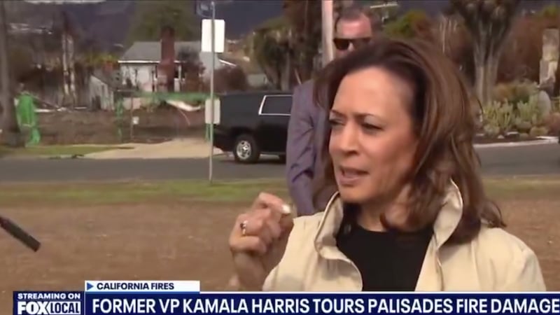 ‘You Can’t Only Feel It, You Can Smell It’: Kamala Delivers New Word Salad Amid Tour of LA Fires