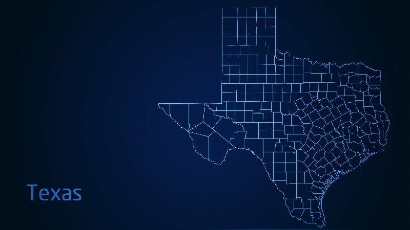 Judge Blocks Texas Online Digital ID Law, Citing Constitutional Concerns