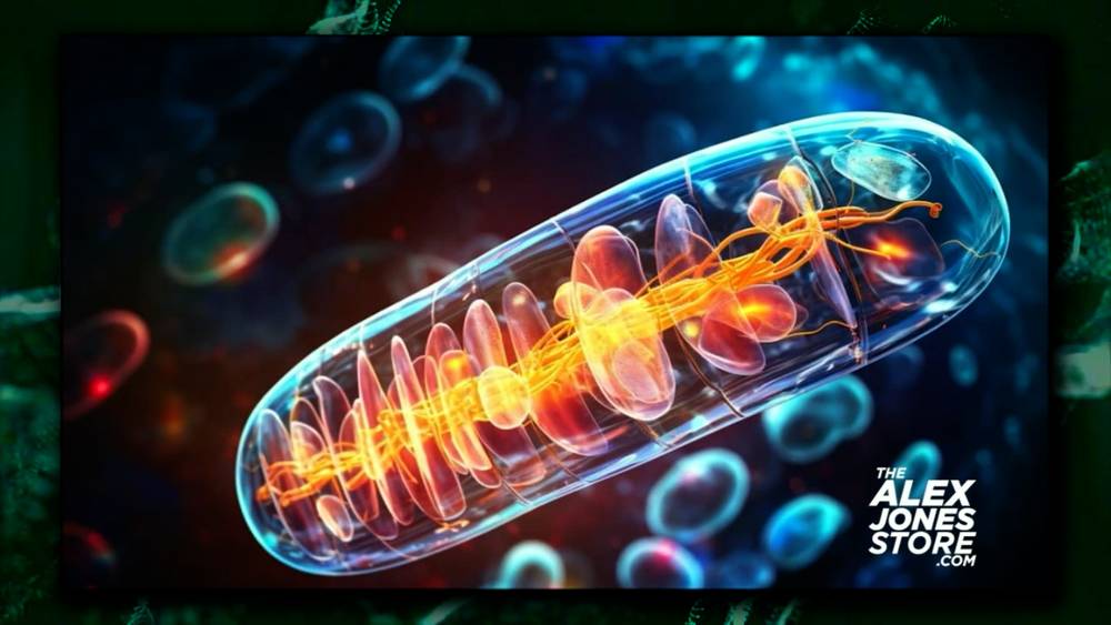 VIDEO: Learn How Methylene Blue Energizes/Cleans Your Body In This Informative Scientific Break Down