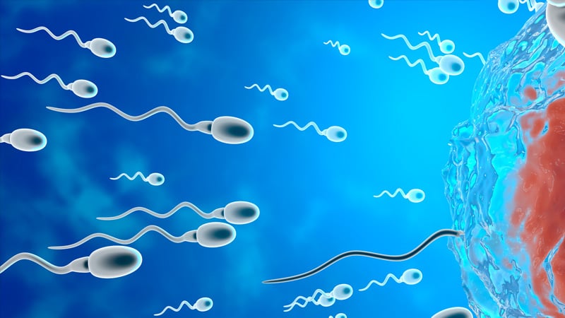 First-ever ‘Sperm Race’ Competition Aims to Highlight Declining Male Fertility