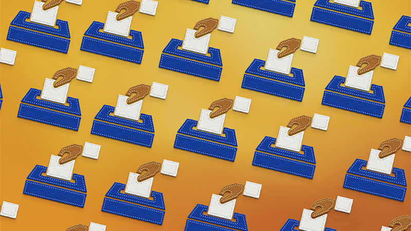 More Than 747,000 Ineligible Voters Removed From Electoral Rolls in North Carolina