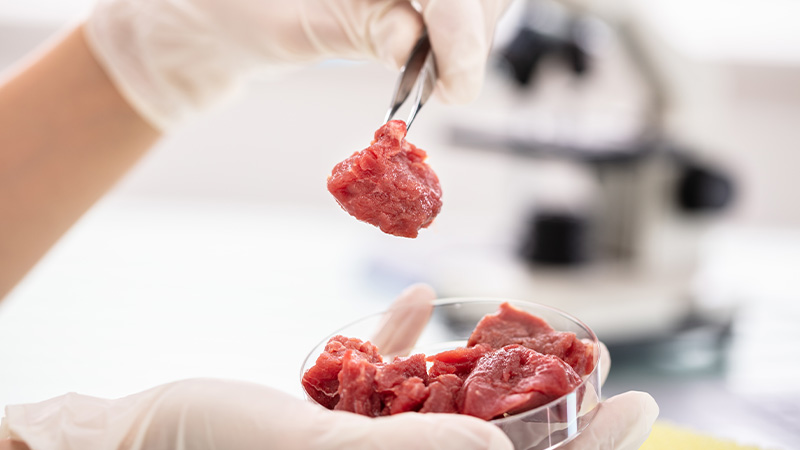 Defense Department Funds Fake Meat Manufacturer That Uses Fungus Protein