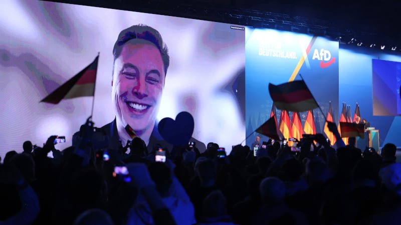 Could the EU Overturn German Election Results if AfD Does Well?