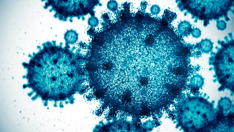 Trump Admin Preparing Executive Order To Ban US Funding Gain-Of-Function Research That Led To COVID-19 Outbreak