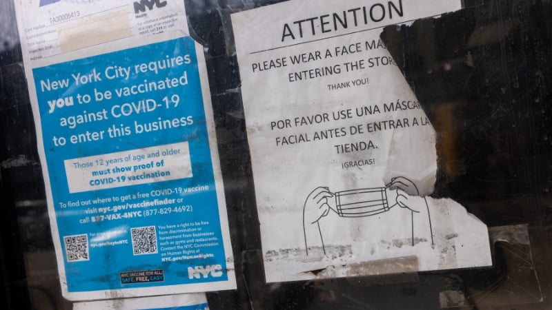 Gabbard Declassifies Docs Showing Biden Classified Opponents of COVID Mandates “Domestic Violent Extremists”