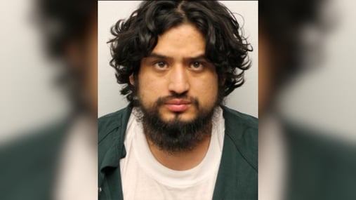 Image for Suspected Illegal Arrested for Stabbing Woman, 3 Dogs to Death in Georgia article