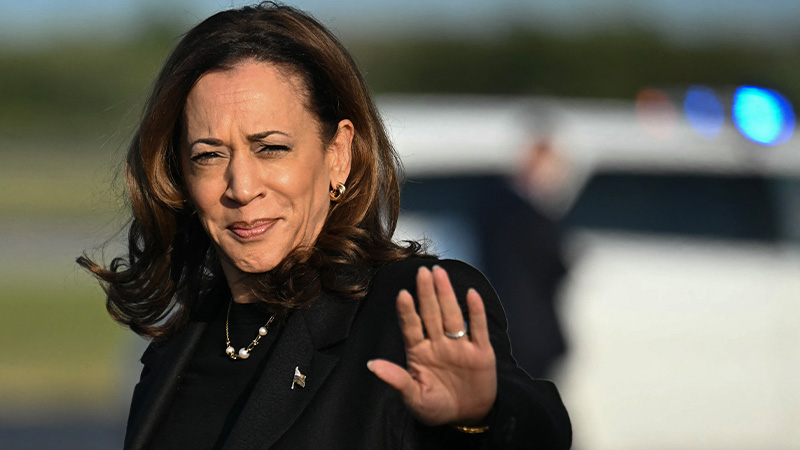 Harris Taps Big Tech Lawyer Amidst Antitrust Battle, Sparking Ethics Firestorm
