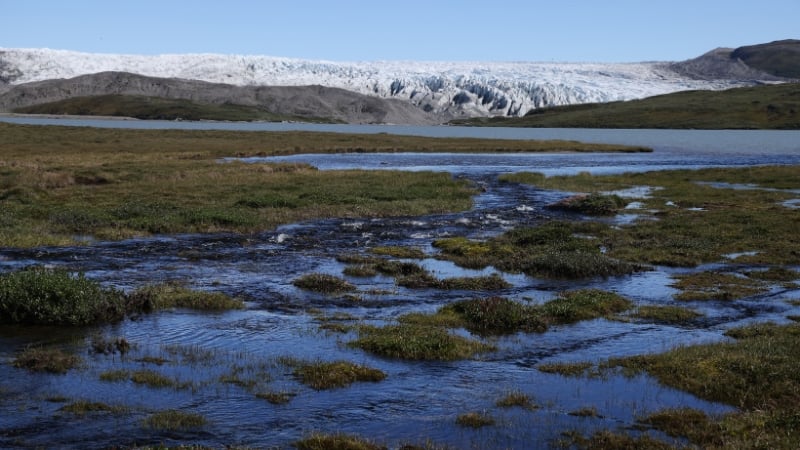 Trump Suggests Buying Greenland Again