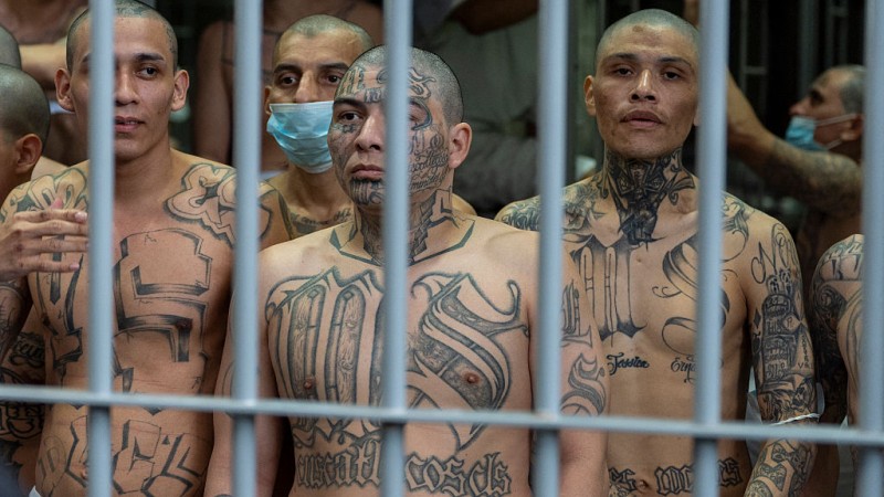 Watch Live: Top MS-13 Leader Arrested In Virginia As Trump Border Czar Homan Cracks Down On Criminal Illegals